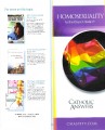 Homosexuality In Church